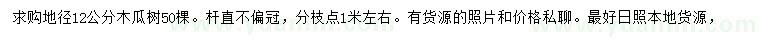 求購地徑12公分木瓜樹
