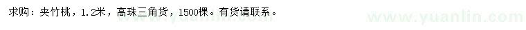 求購1.2米夾竹桃