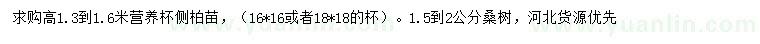 求購高1.3-1.6米側柏、1.5-2公分桑樹