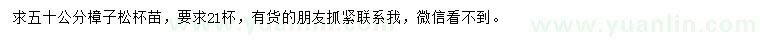 求購50公分樟子松