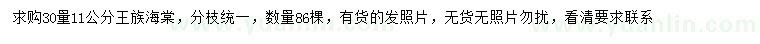 求購(gòu)30量11公分王族海棠