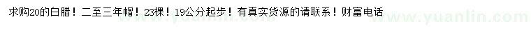 求購(gòu)19公分起步20公分白蠟
