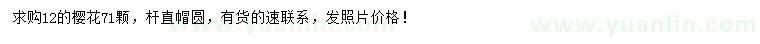 求購(gòu)12公分櫻花