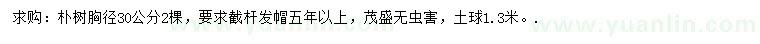 求購胸徑30公分樸樹