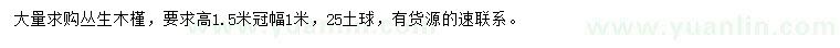 求購(gòu)冠幅1米叢生木槿