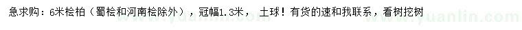 求購6米檜柏