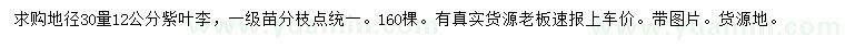 求購(gòu)30量12公分紫葉李