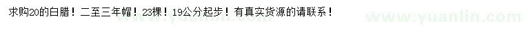 求購19公分以上白蠟