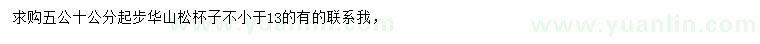 求購(gòu)50公分起步華山松