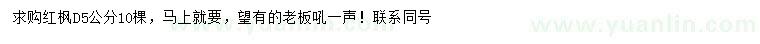 求購(gòu)地徑5公分紅楓