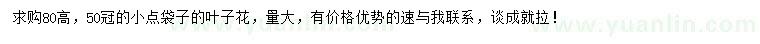 求購高80公分葉子花
