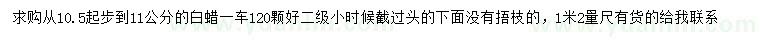 求購10.5起步到11公分白蠟