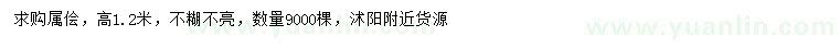 求購高1.2米署檜