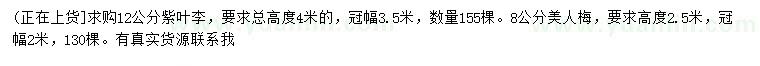 求購12公分紫葉李、8公分美人梅