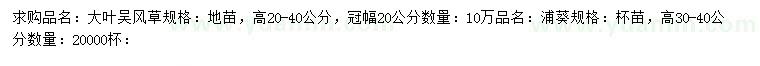 求購高20-40公分大葉吳風(fēng)草、高30-40公分蒲葵