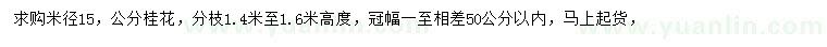 求購米徑15公分桂花