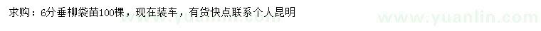 求購6分垂柳