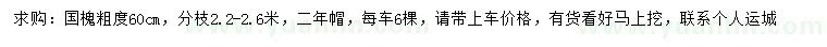 求購國槐
