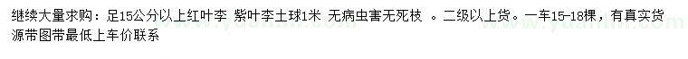 求購(gòu)15公分以上紅葉李、紫葉李