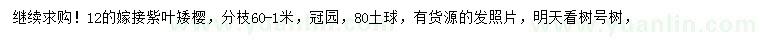 求購12公分紫葉矮櫻