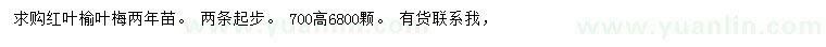 求購高7米紅葉榆葉梅