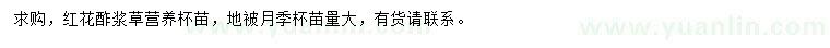 求購紅花酢漿