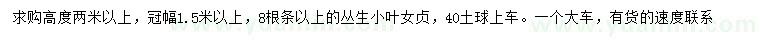 求購高2米以上叢生小葉女貞