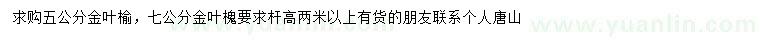 求購5公分金葉榆、7公分金葉槐