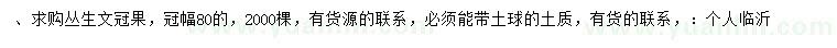 求購冠幅80公分叢生文冠果