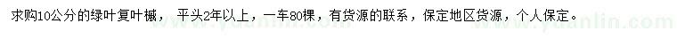 求購10公分綠葉復(fù)葉槭