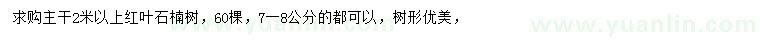 求購(gòu)7-8公分紅葉石楠