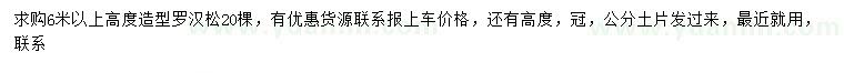 求購6米以上造型羅漢松