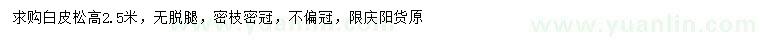 求購(gòu)高2.5米白皮松
