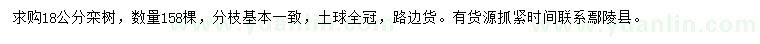求購18公分欒樹