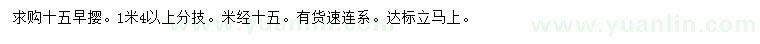 求購米徑15公分早櫻