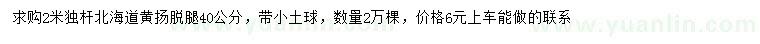 求購2米獨(dú)桿北海道黃揚(yáng)