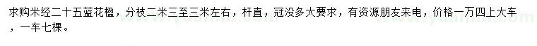 求購米徑25公分藍花楹