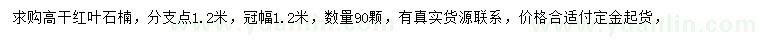 求購冠幅1.2米高桿紅葉石楠