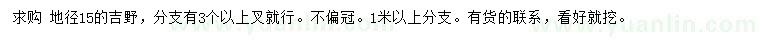 求購地徑15公分吉野櫻
