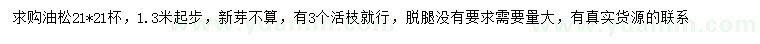求購(gòu)1.3米起步油松