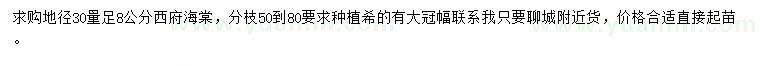求購30公分量8公分西府海棠