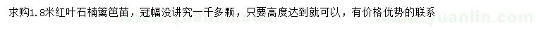 求購(gòu)1.8米紅葉石楠