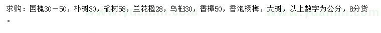 求購國槐、樸樹、榆樹等