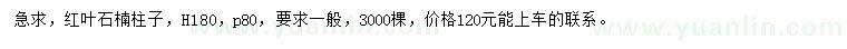 求購高180公分紅葉石楠柱子