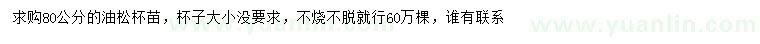 求購80公分油松