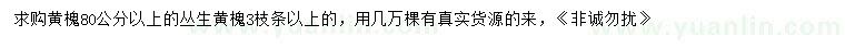 求購80公分以上叢生黃槐