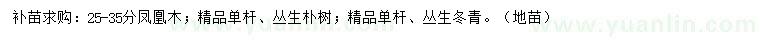 求購鳳凰木、叢生樸樹、叢生冬青