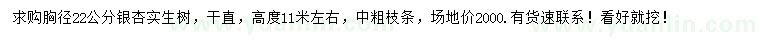 求購(gòu)胸徑22公分銀杏