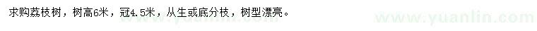 求購(gòu)高6米荔枝樹(shù)