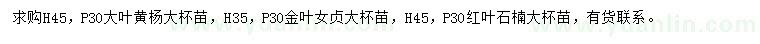 求購大葉黃楊、金葉女貞、紅葉石楠